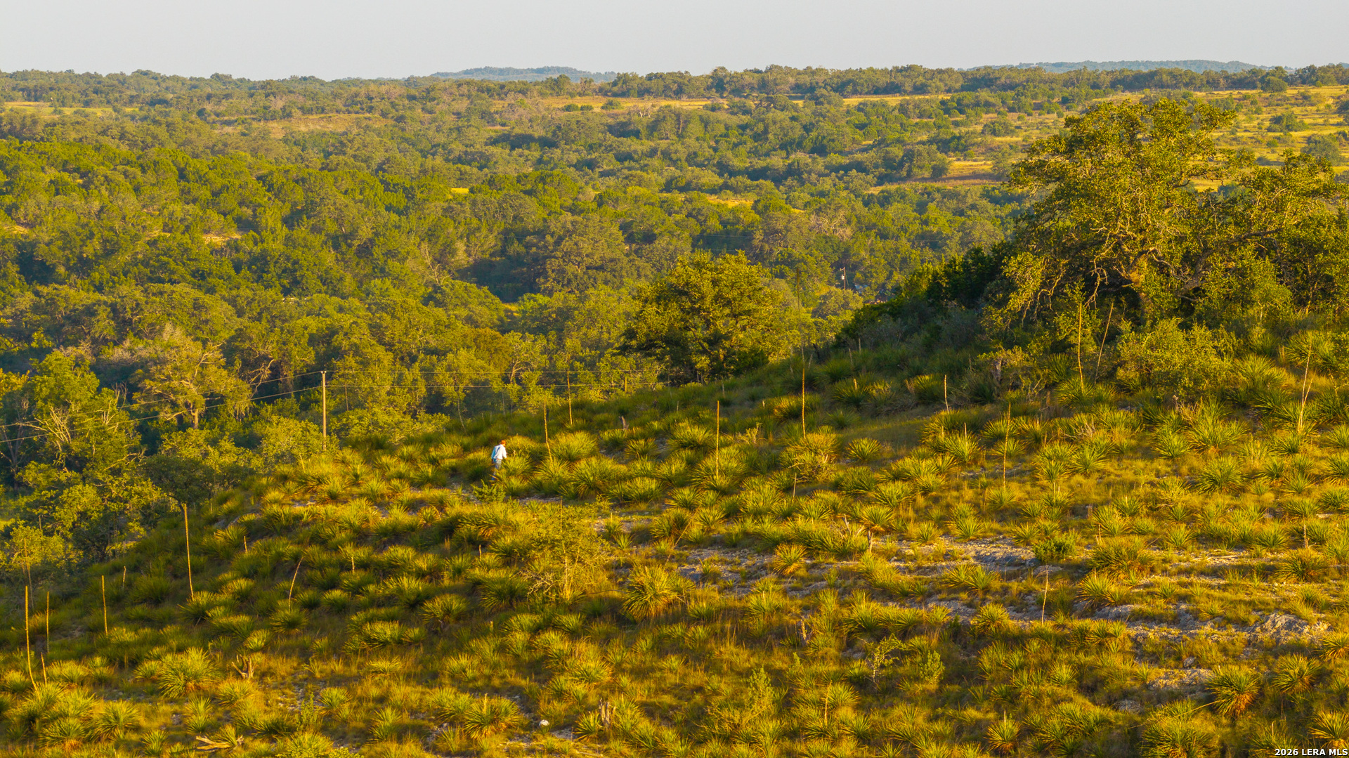 552+/- Acres Robinson Road Johnson City TX 78636