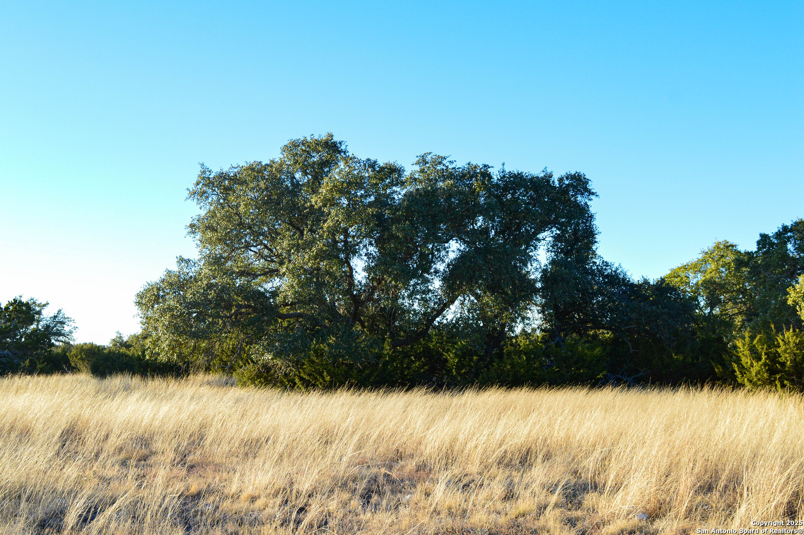 3527 Stapp Ranch Junction TX 76849