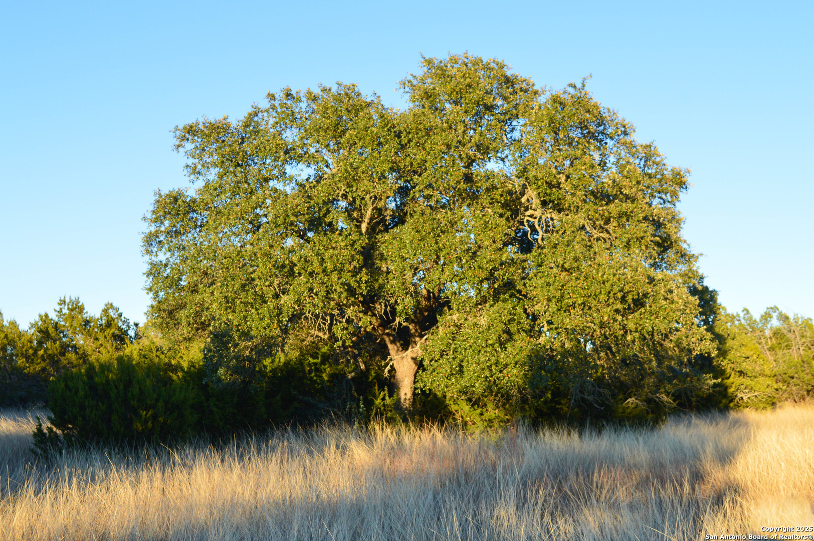 3527 Stapp Ranch Junction TX 76849