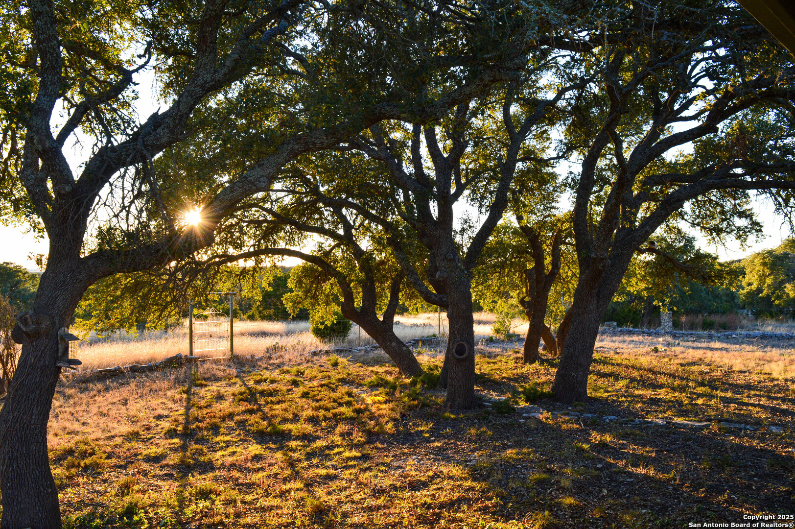 3527 Stapp Ranch Junction TX 76849