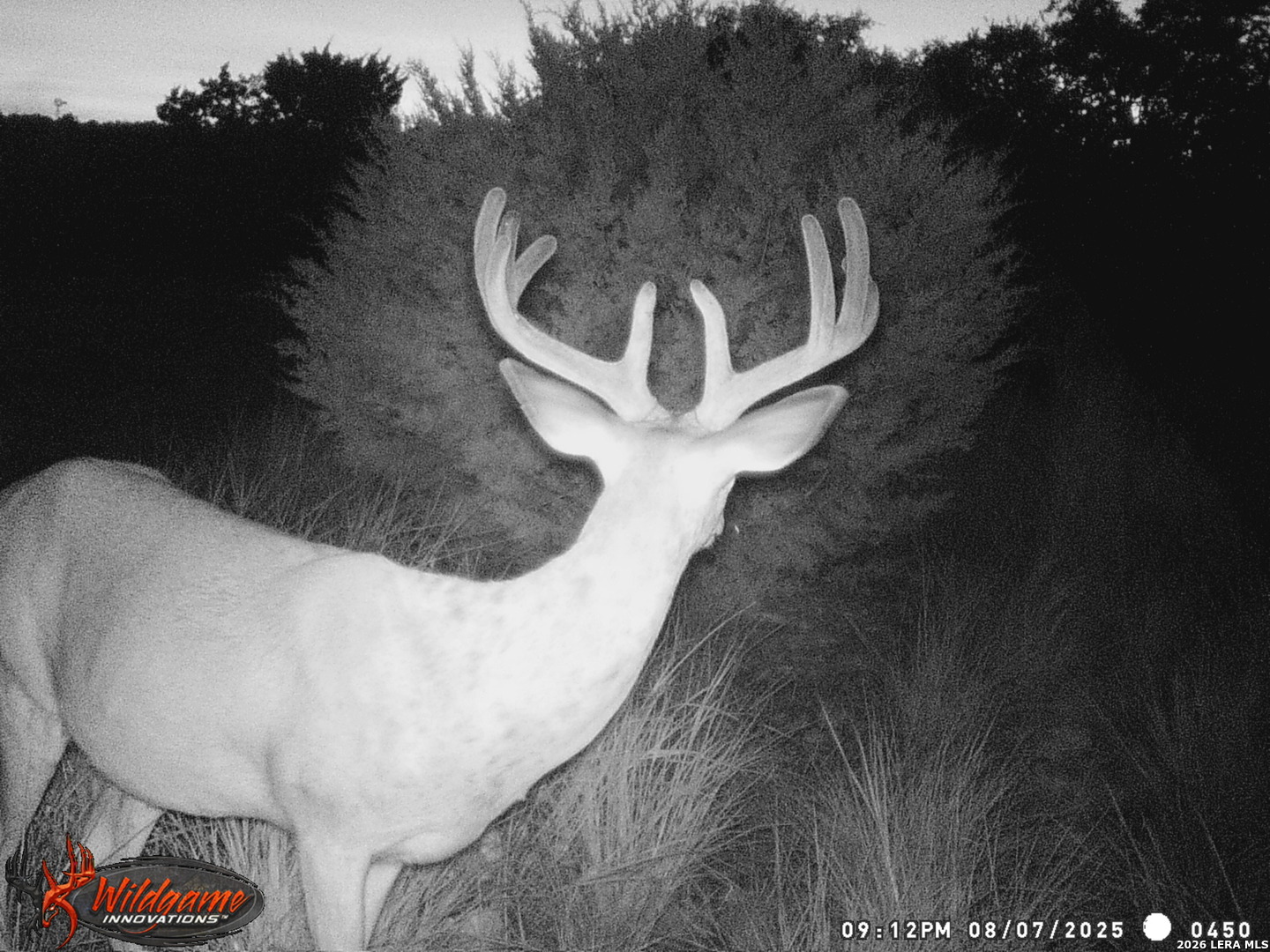 3527 Stapp Ranch Junction TX 76849