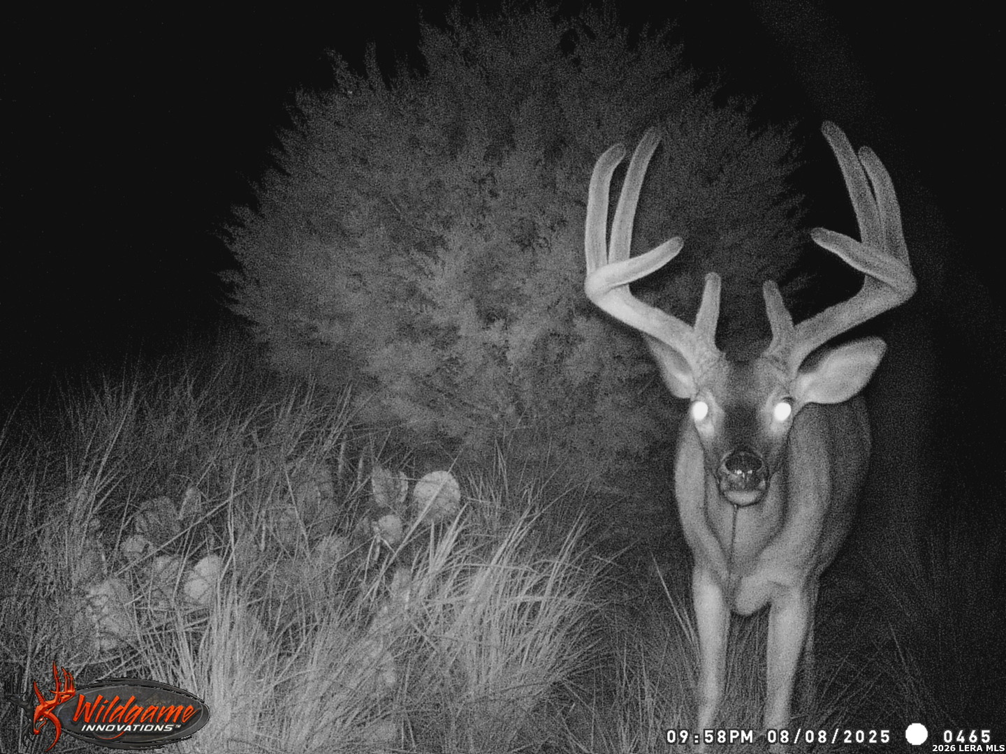 3527 Stapp Ranch Junction TX 76849