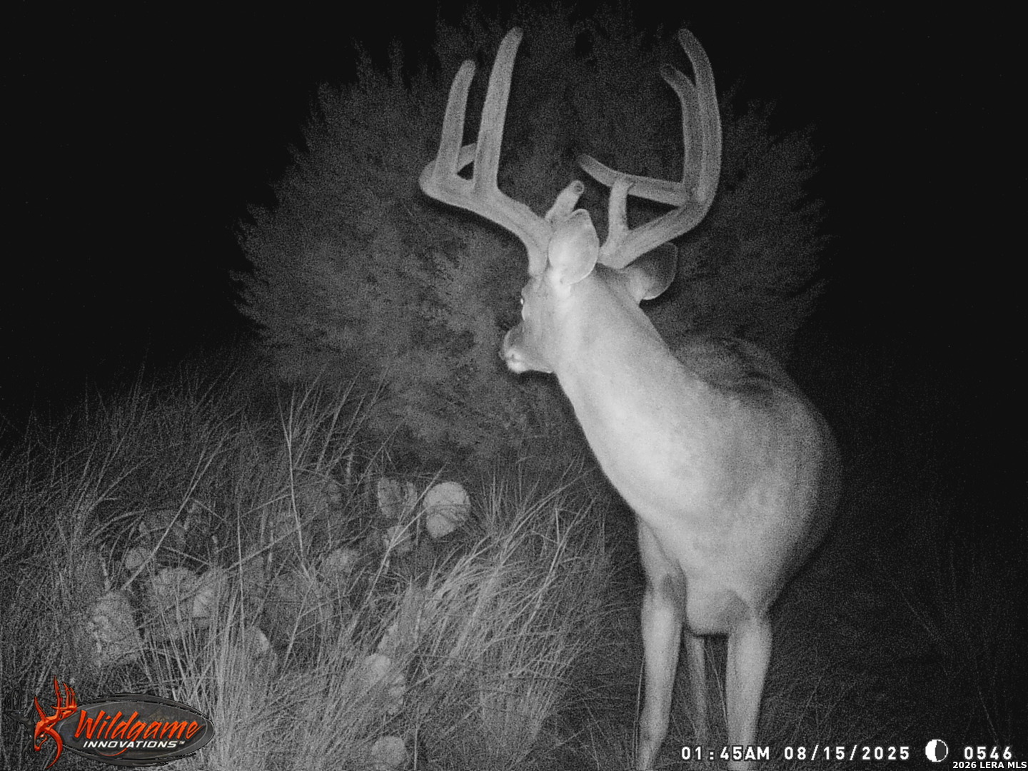 3527 Stapp Ranch Junction TX 76849