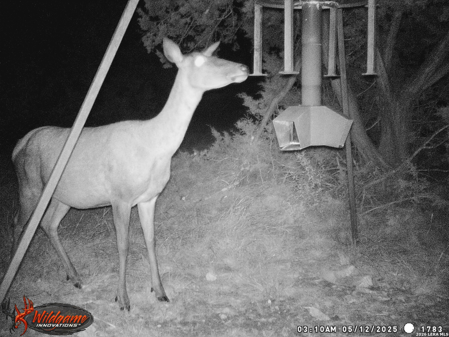 3527 Stapp Ranch Junction TX 76849