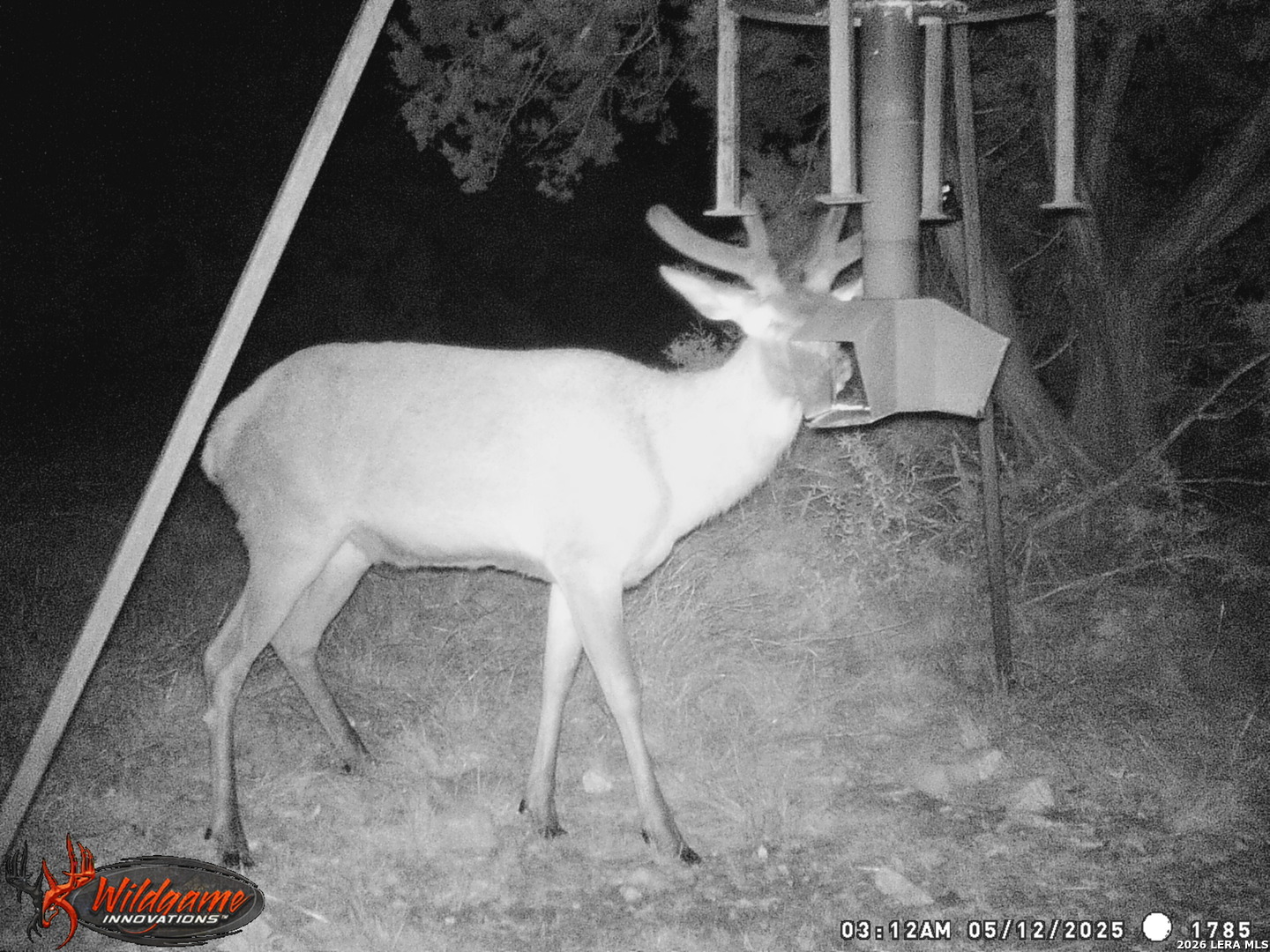 3527 Stapp Ranch Junction TX 76849