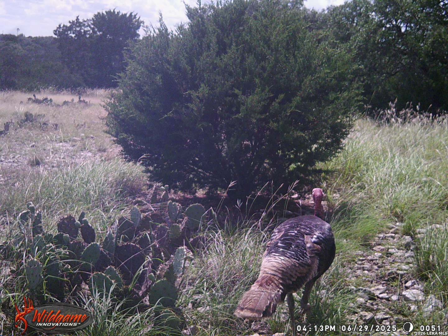 3527 Stapp Ranch Junction TX 76849