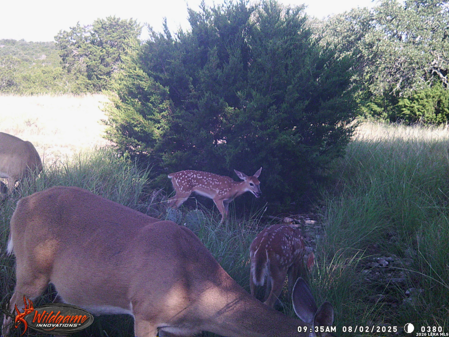 3527 Stapp Ranch Junction TX 76849