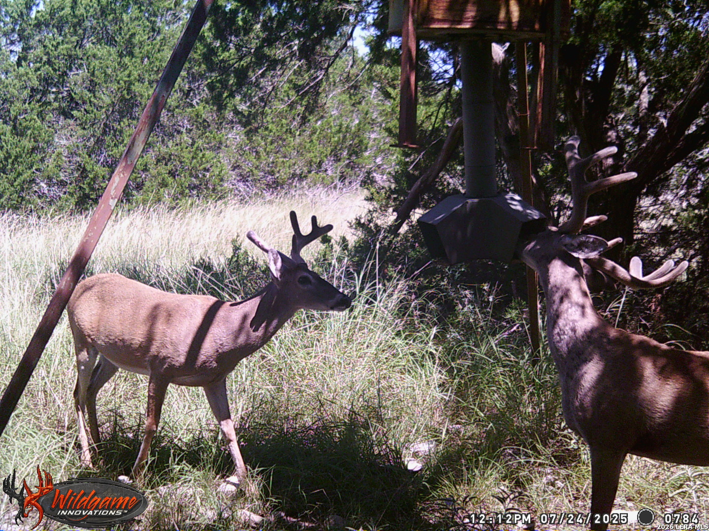 3527 Stapp Ranch Junction TX 76849