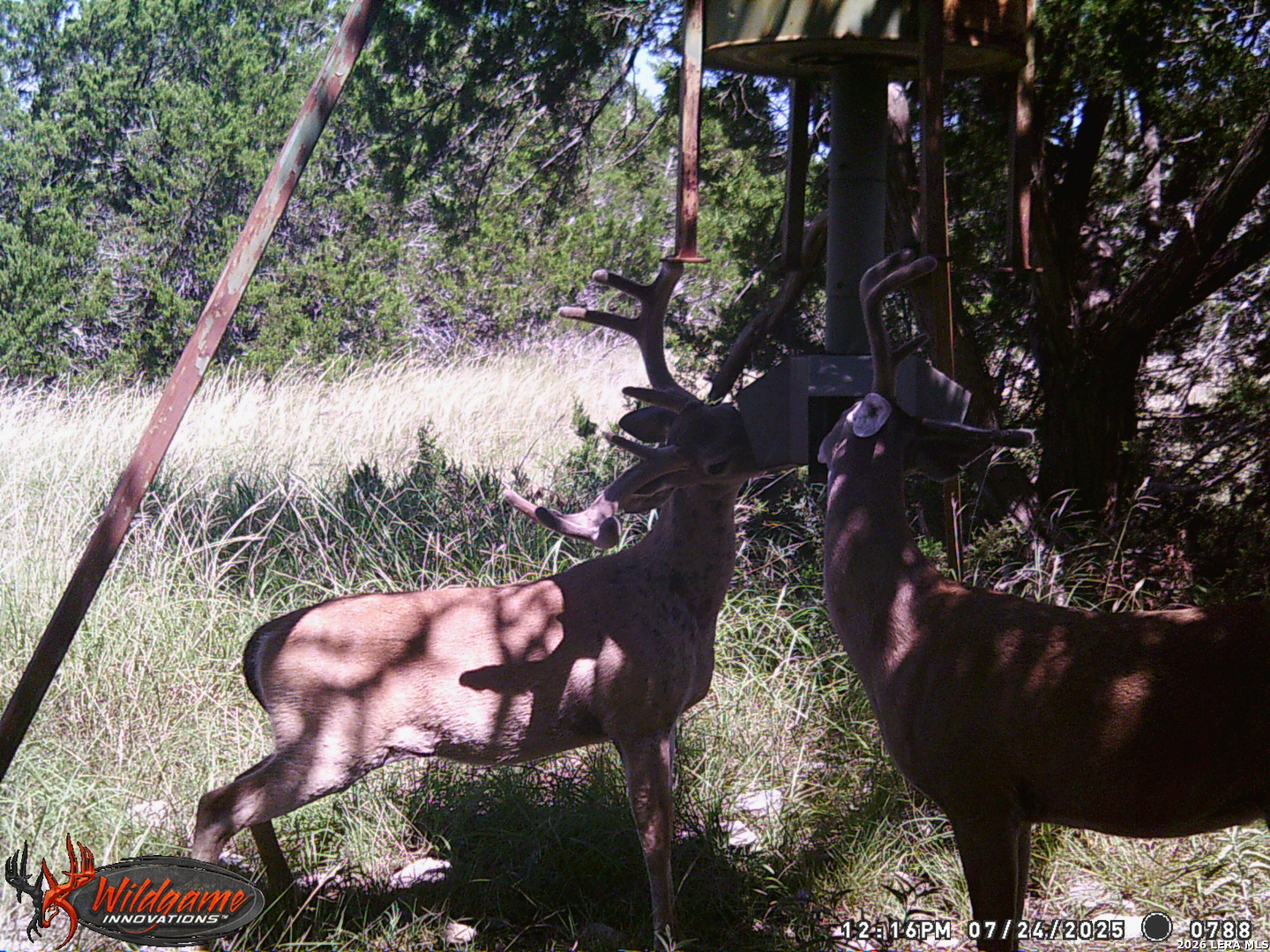 3527 Stapp Ranch Junction TX 76849