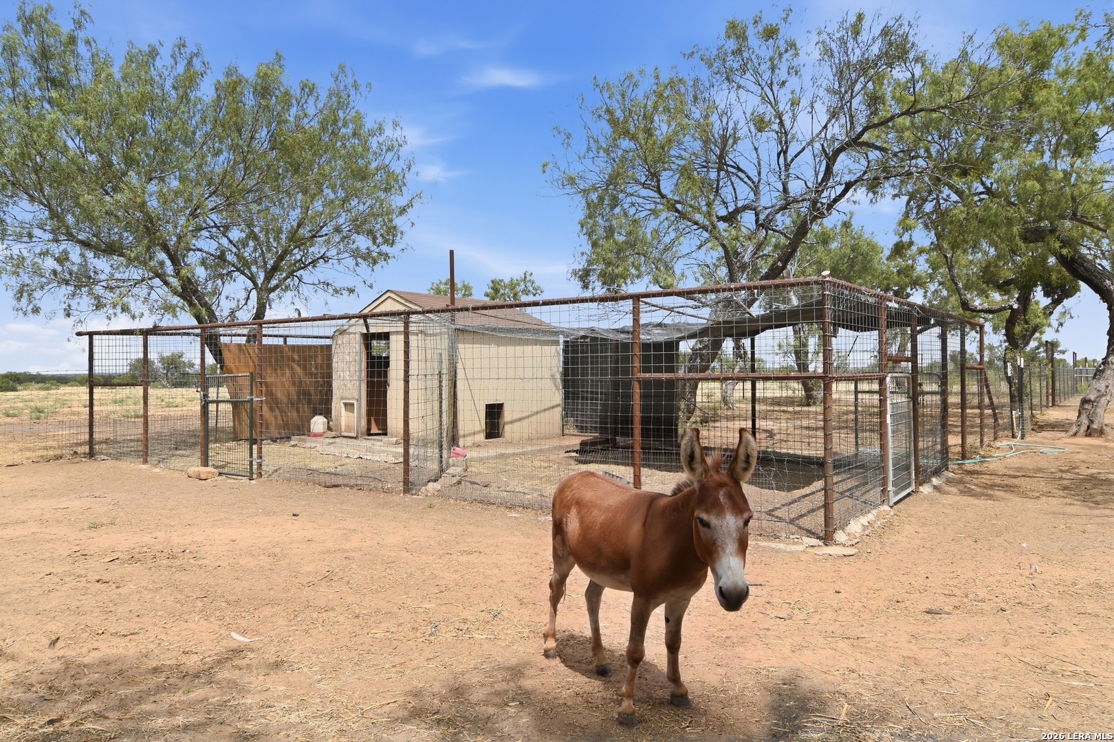 3033 St Hwy 132 N Natalia TX 78059