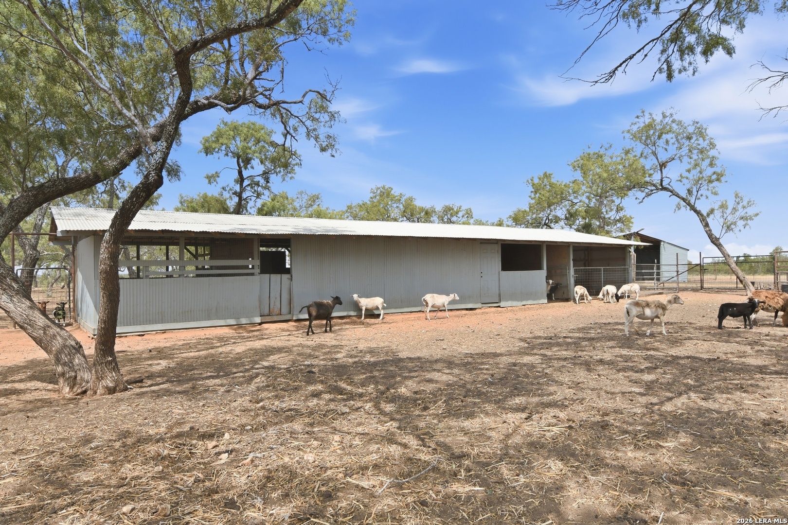 3033 St Hwy 132 N Natalia TX 78059