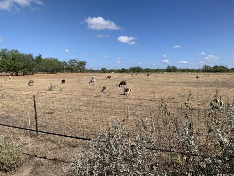 3033 St Hwy 132 N Natalia TX 78059