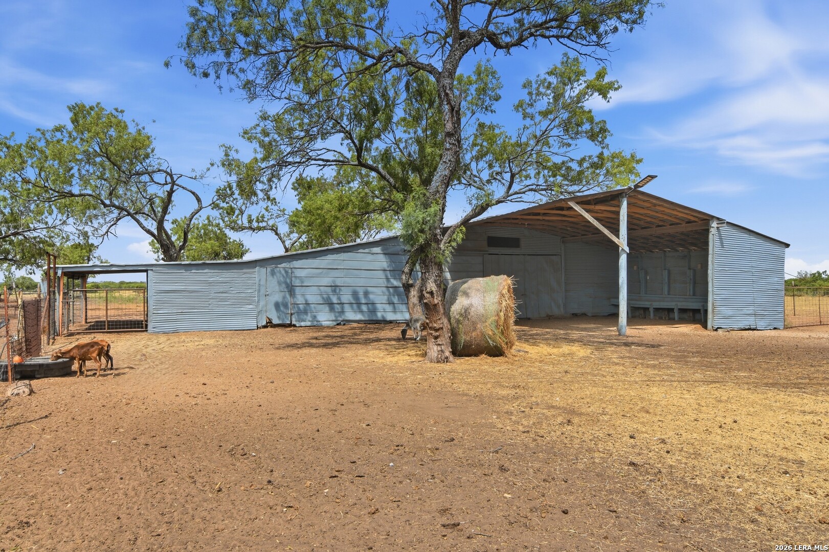3033 St Hwy 132 N Natalia TX 78059