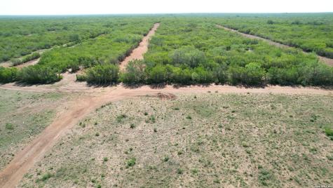 0 County Road 104 San Diego TX 78384