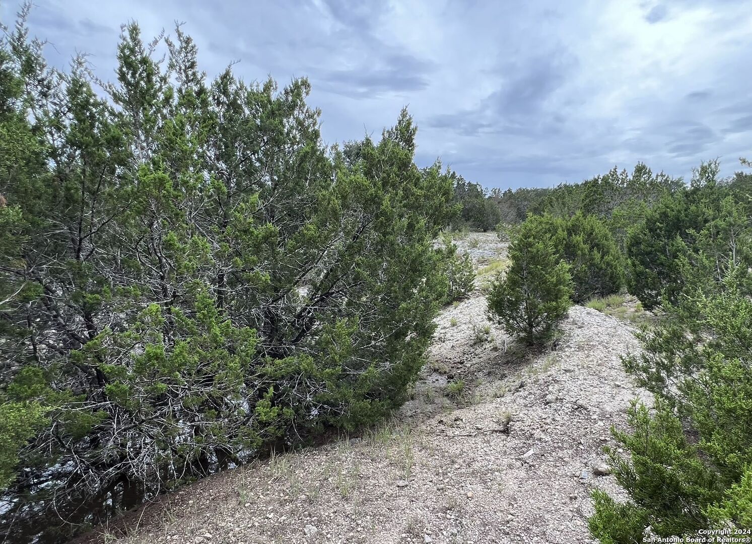 1984 North Grape Creek Road Fredericksburg TX 78624