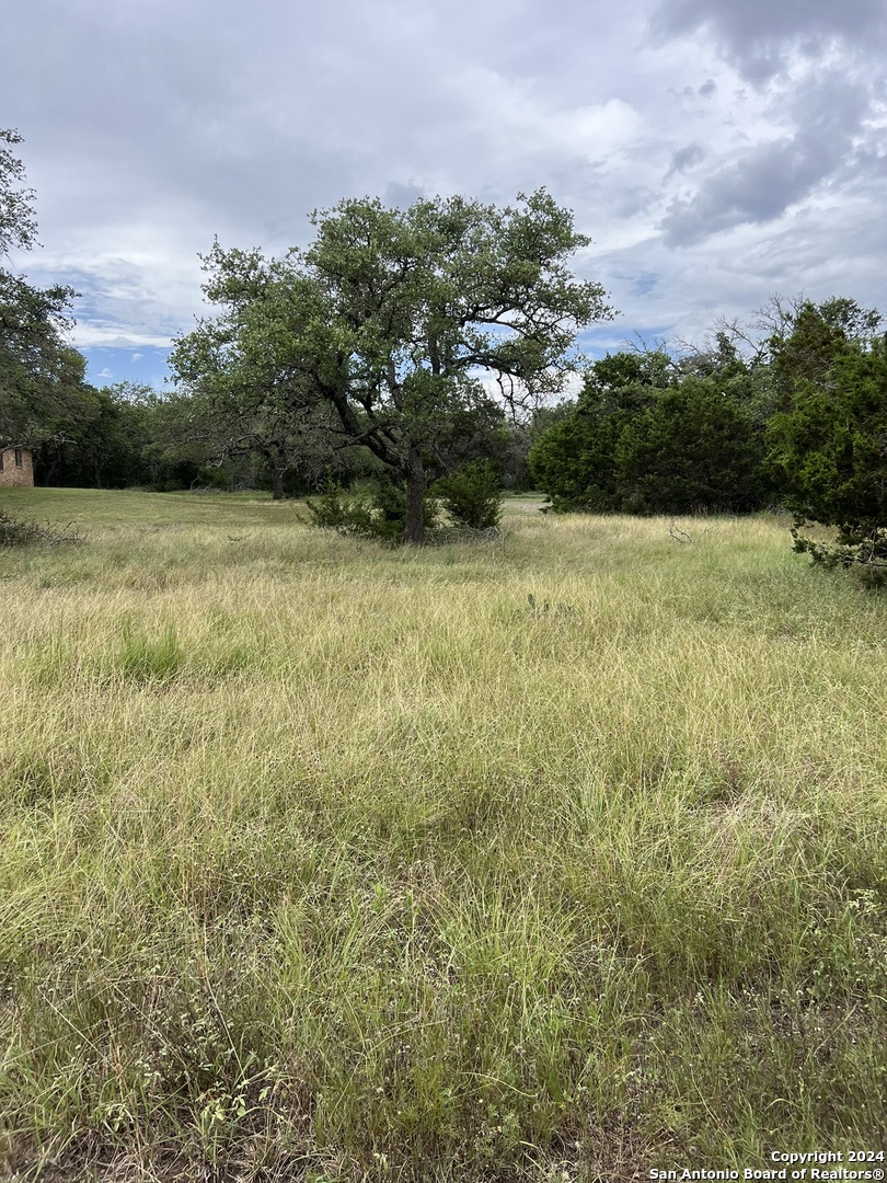 1984 North Grape Creek Road Fredericksburg TX 78624