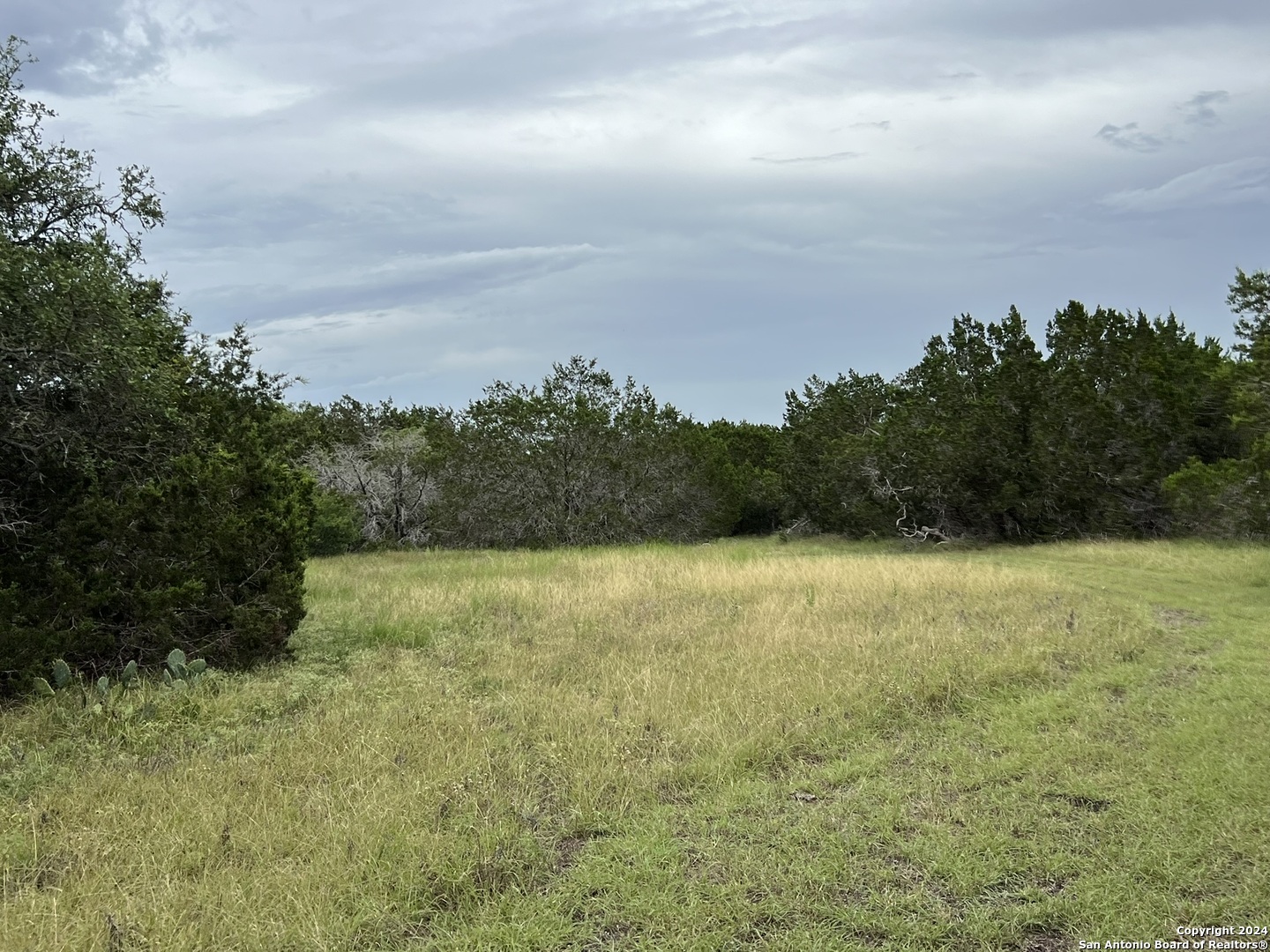 1984 North Grape Creek Road Fredericksburg TX 78624