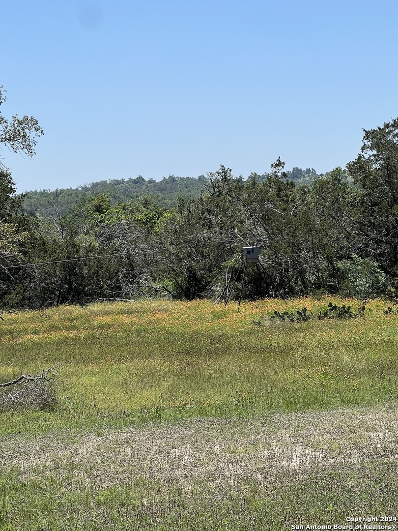 1984 North Grape Creek Road Fredericksburg TX 78624