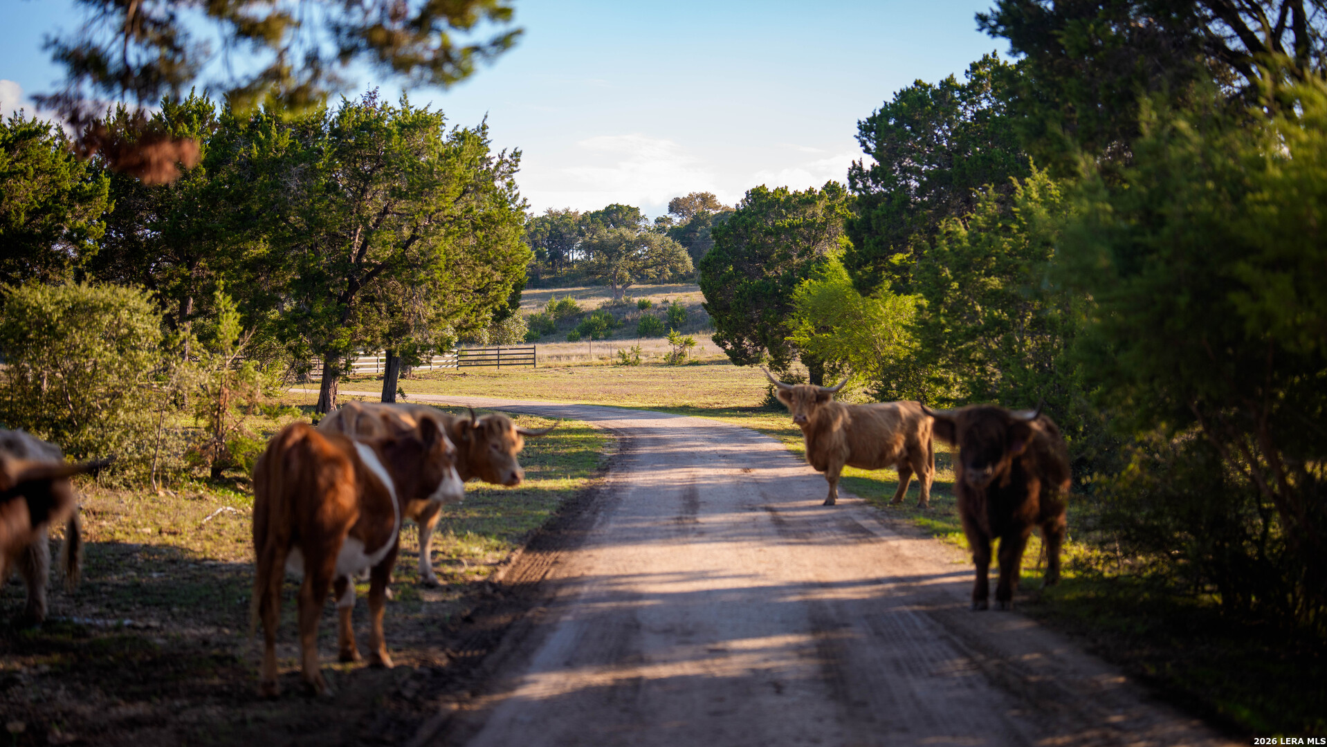 520 Flying R Ranch Road Spring Branch TX 78070