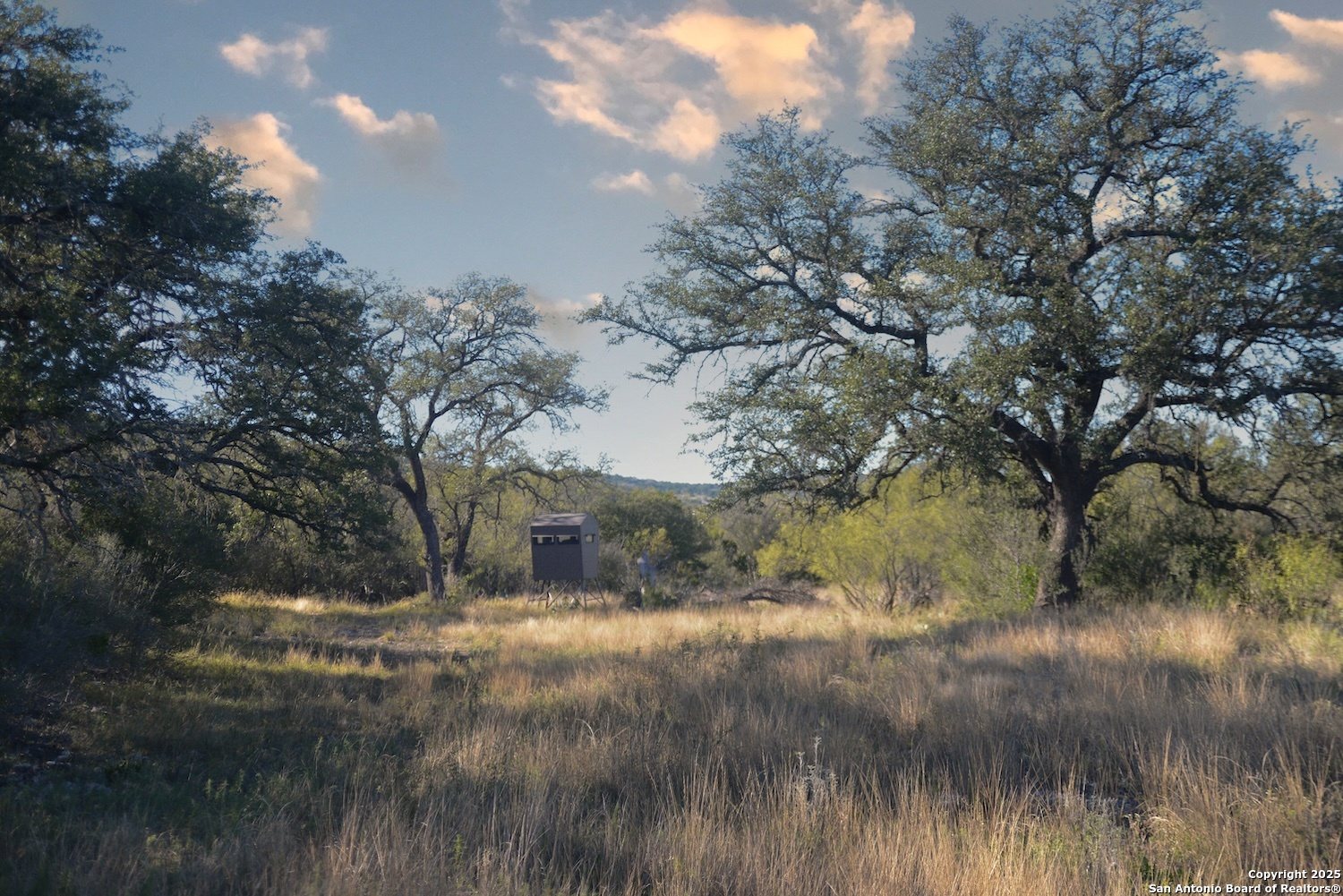 97 Sd 45690 Rocksprings TX 78880