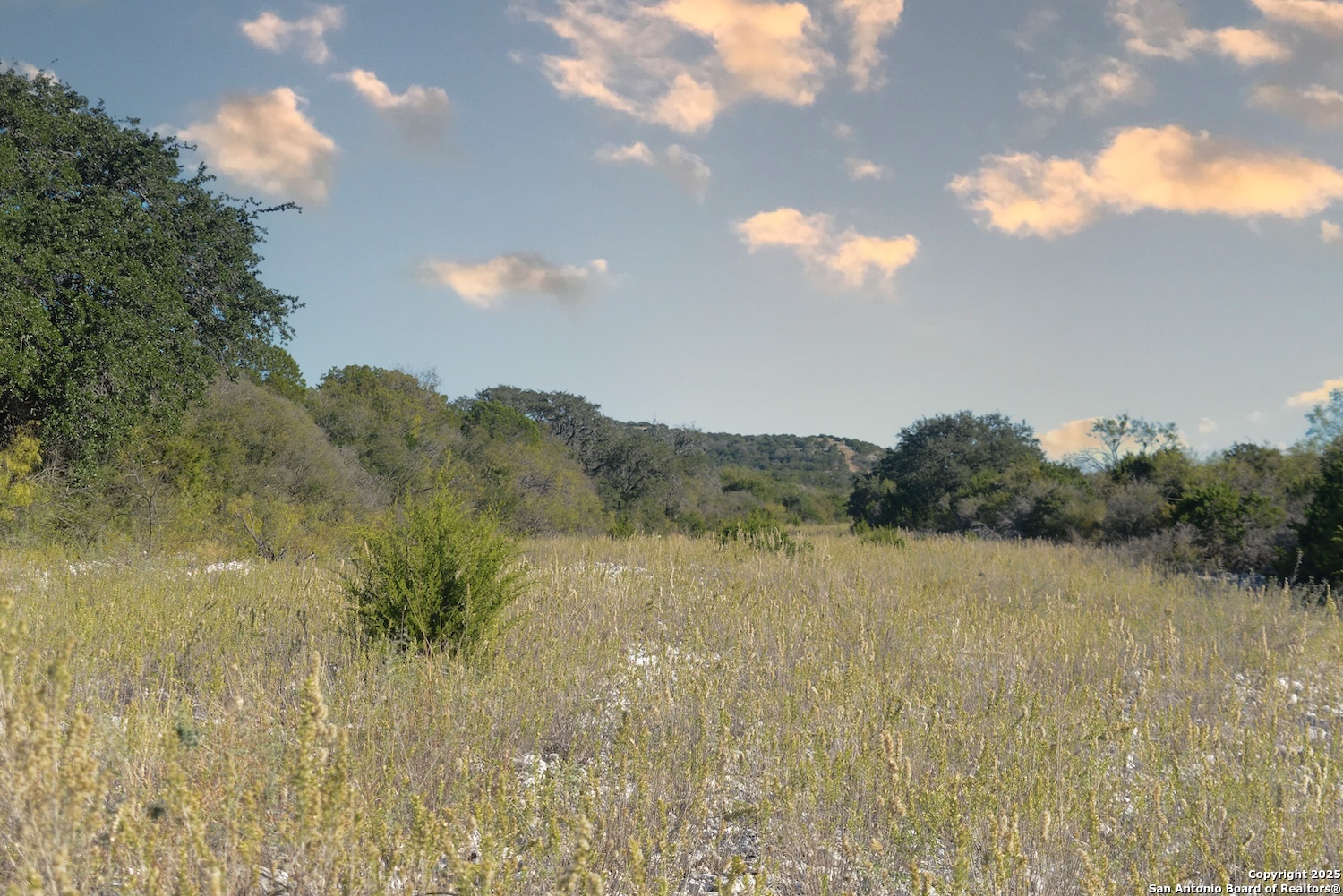97 Sd 45690 Rocksprings TX 78880