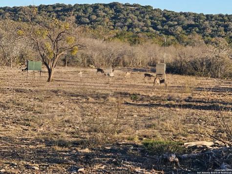97 Sd 45690 Rocksprings TX 78880