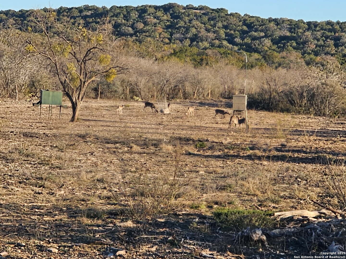 97 Sd 45690 Rocksprings TX 78880