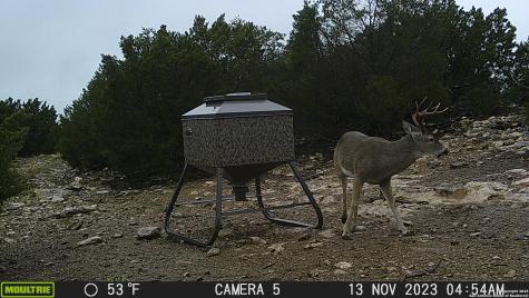 97 Sd 45690 Rocksprings TX 78880