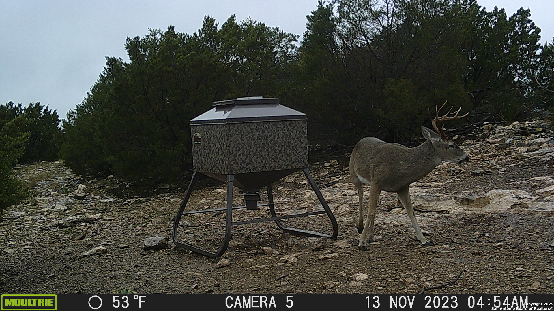 97 Sd 45690 Rocksprings TX 78880