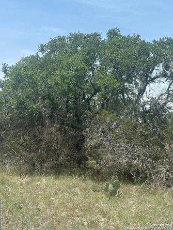 1504 Sd 45730 Rocksprings TX 78880