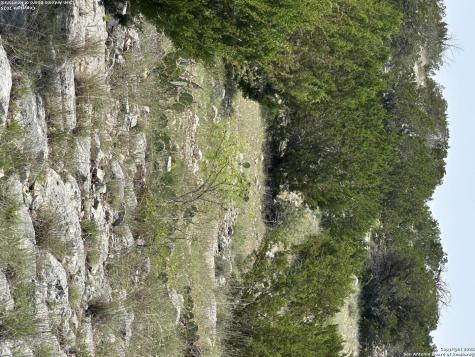 1504 Sd 45730 Rocksprings TX 78880
