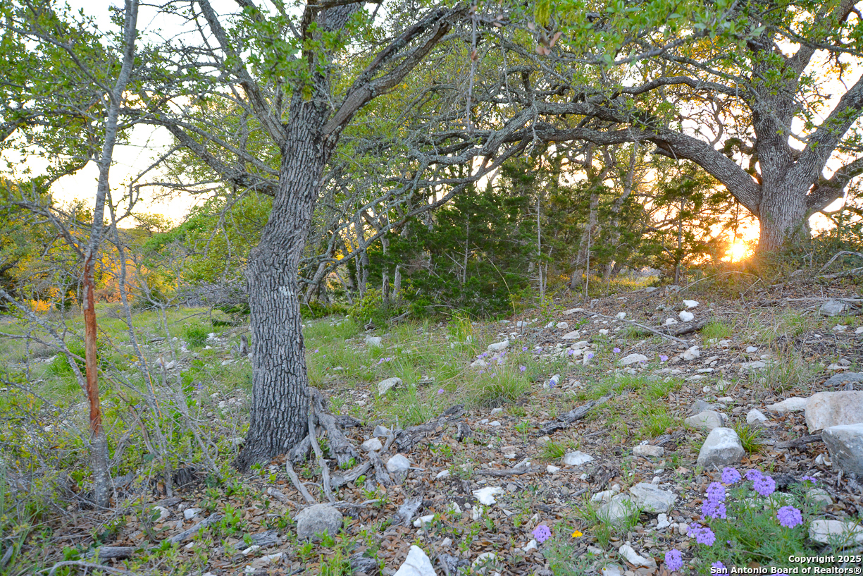 482 Wingert Road Junction TX 76849