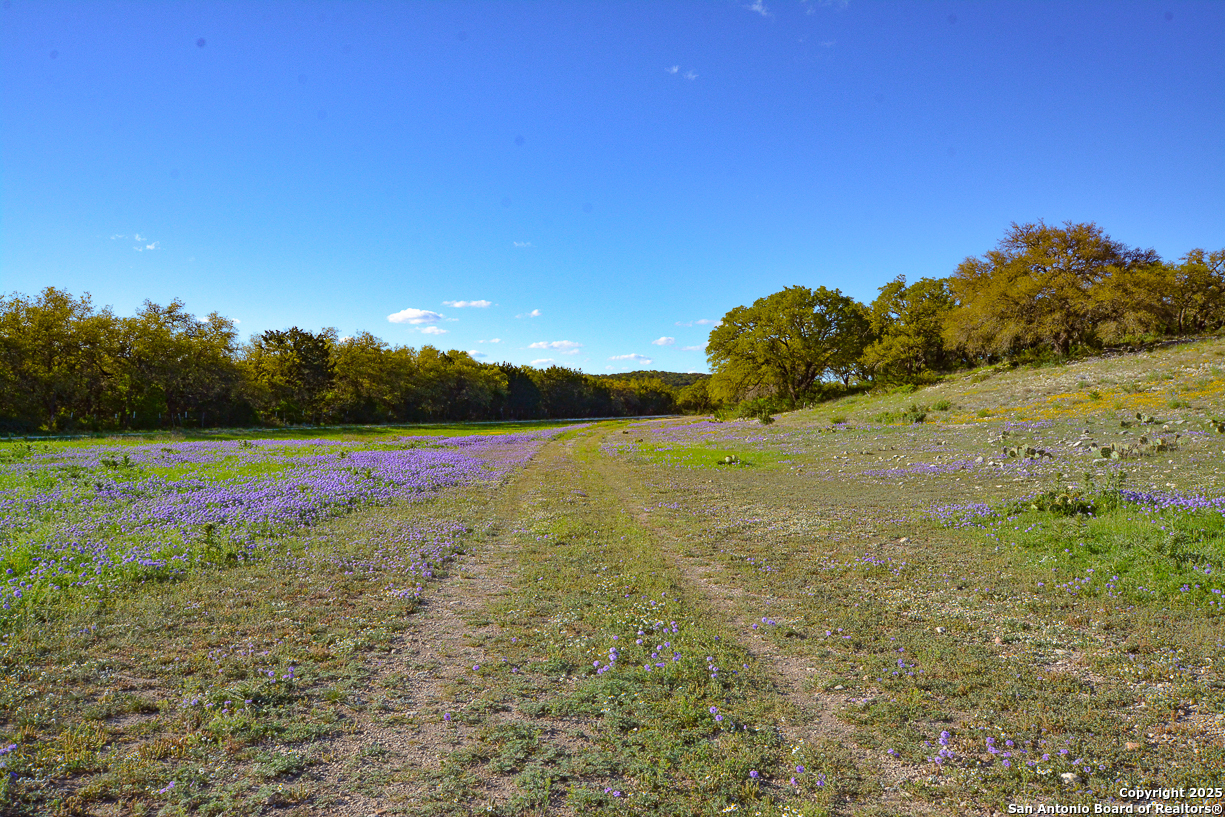 482 Wingert Road Junction TX 76849