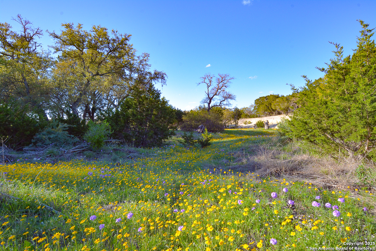 482 Wingert Road Junction TX 76849