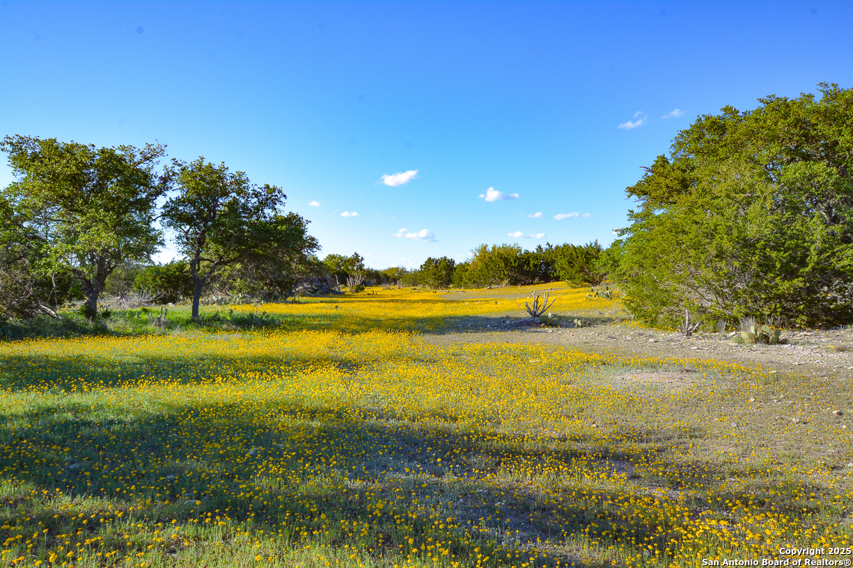 482 Wingert Road Junction TX 76849