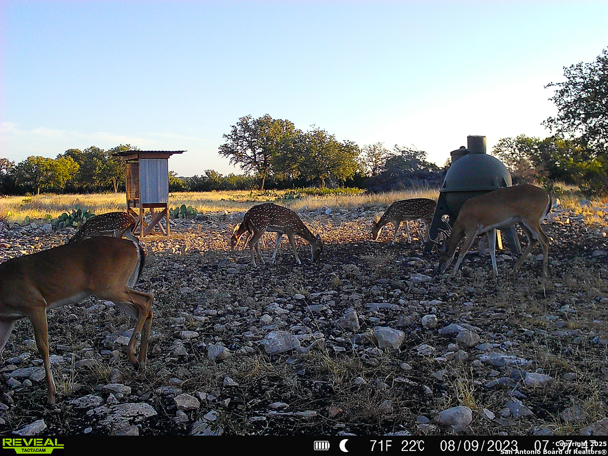 482 Wingert Road Junction TX 76849