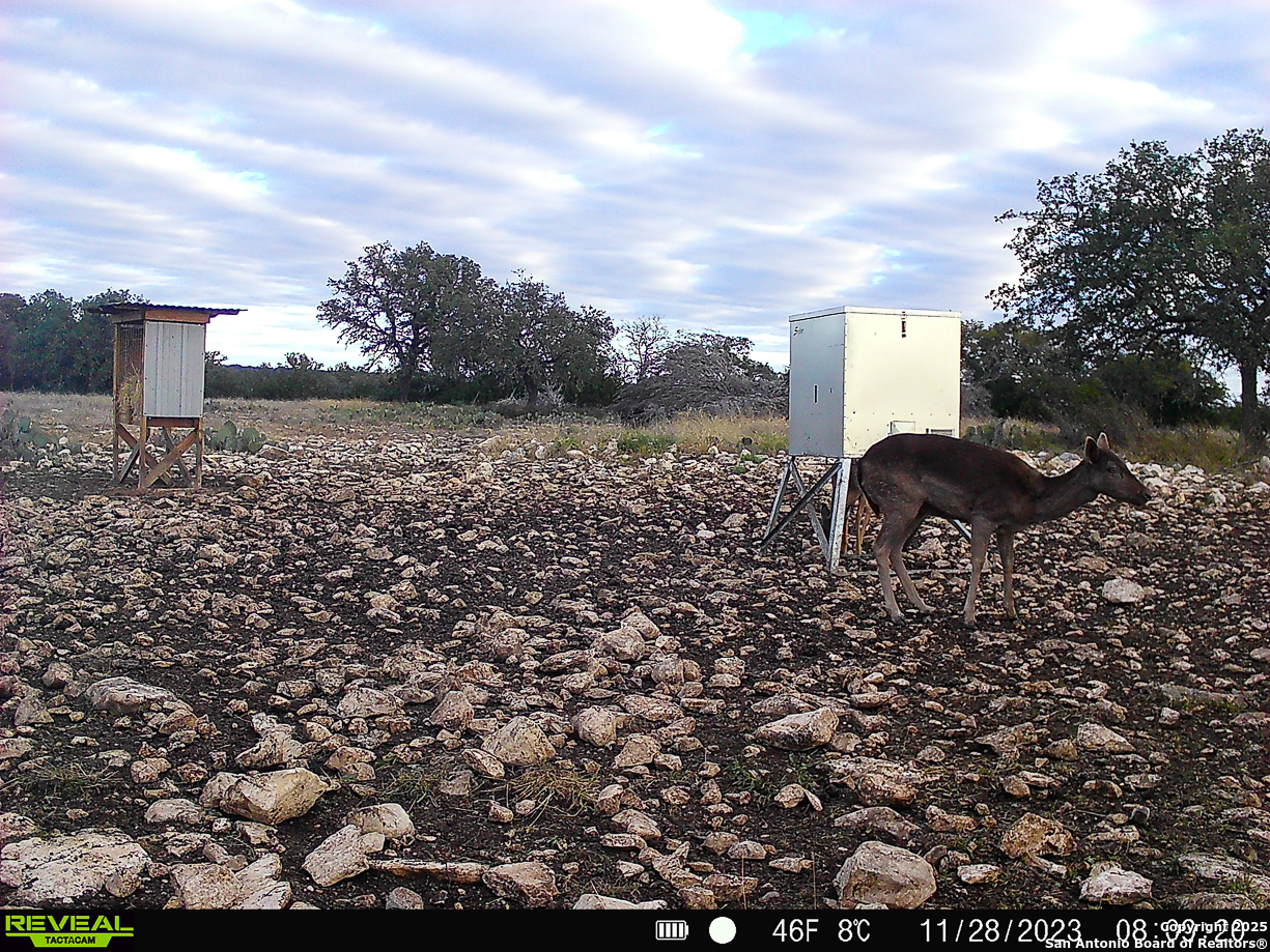 482 Wingert Road Junction TX 76849