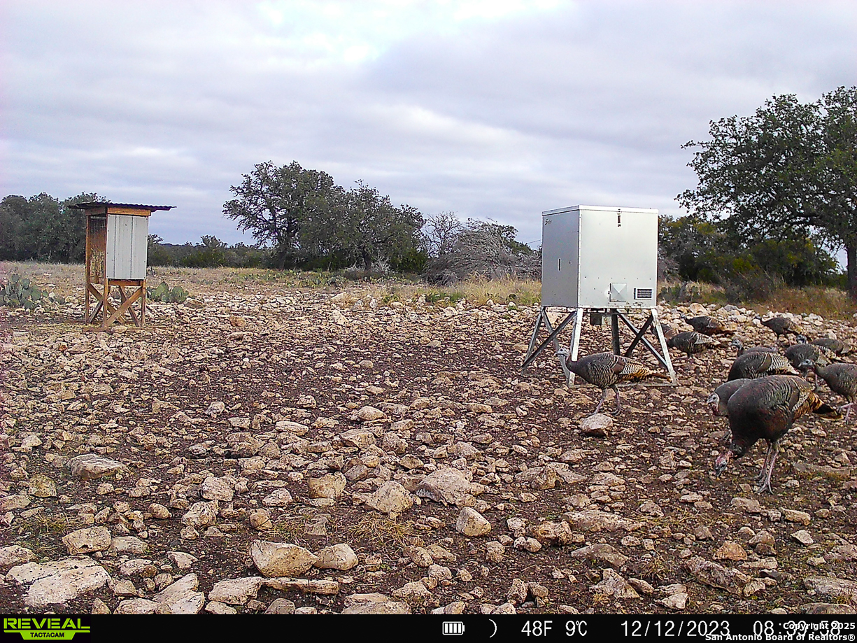 482 Wingert Road Junction TX 76849