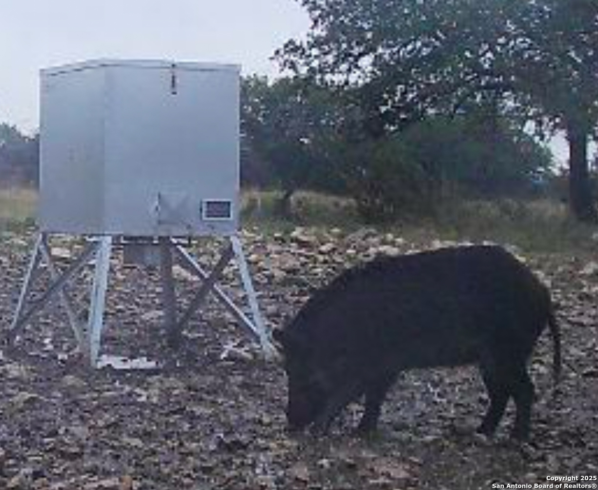 482 Wingert Road Junction TX 76849