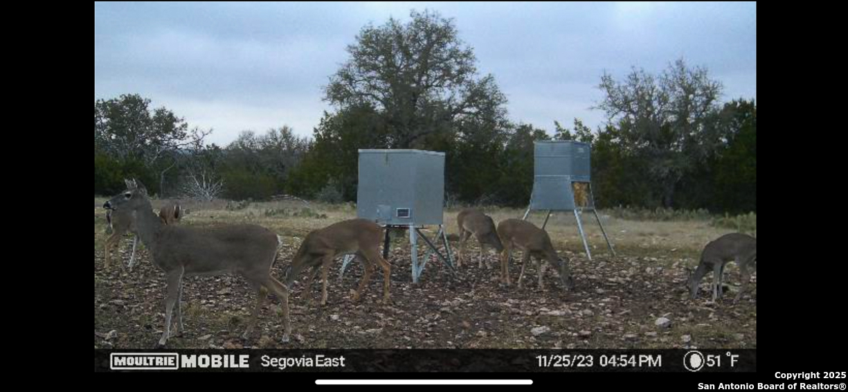 482 Wingert Road Junction TX 76849