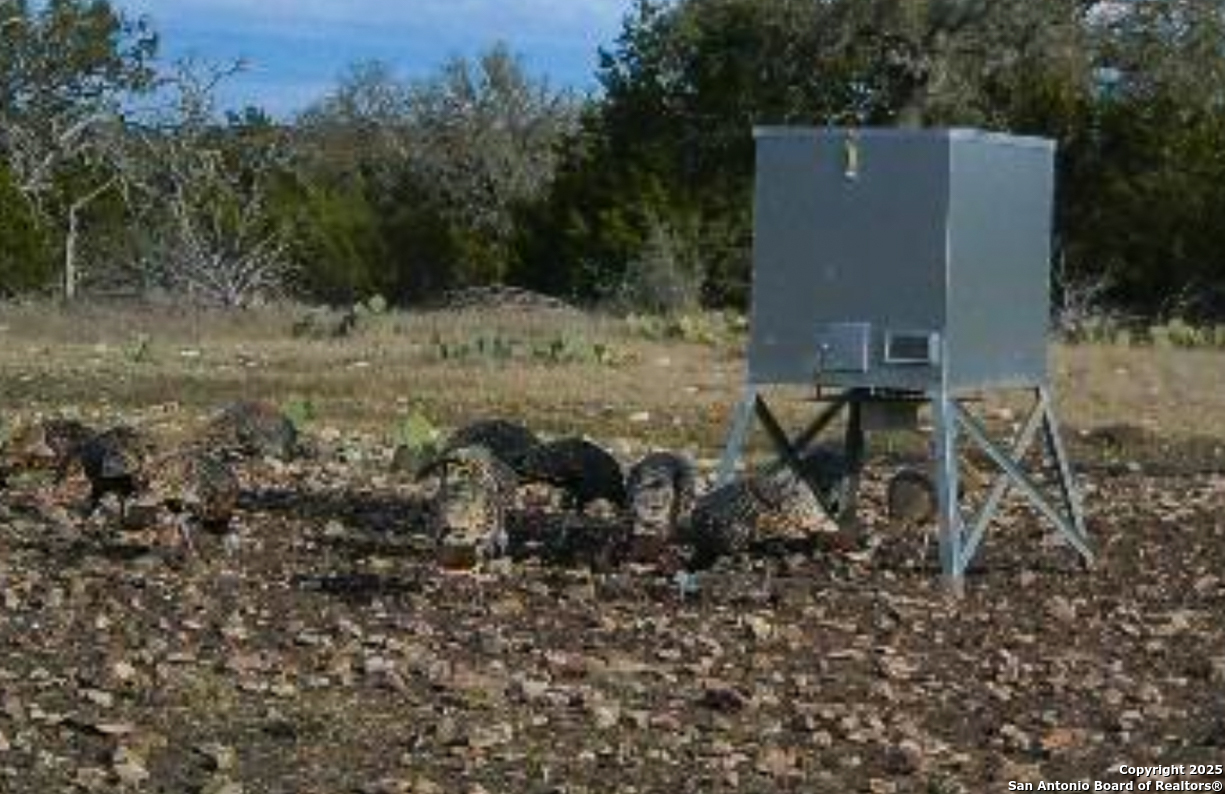 482 Wingert Road Junction TX 76849