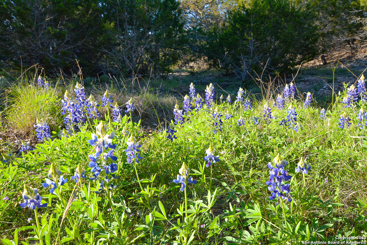 482 Wingert Road Junction TX 76849