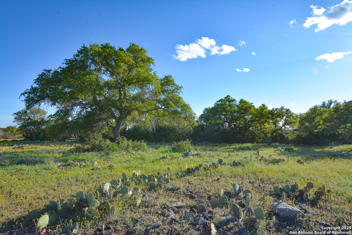 482 Wingert Road Junction TX 76849