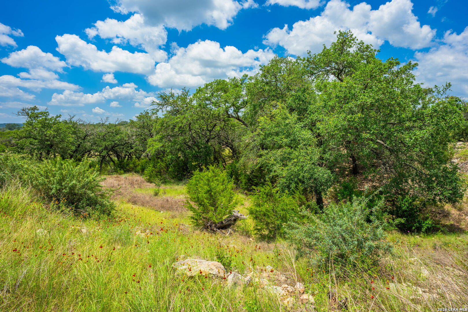 241 Old No 9 Highway Comfort TX 78013