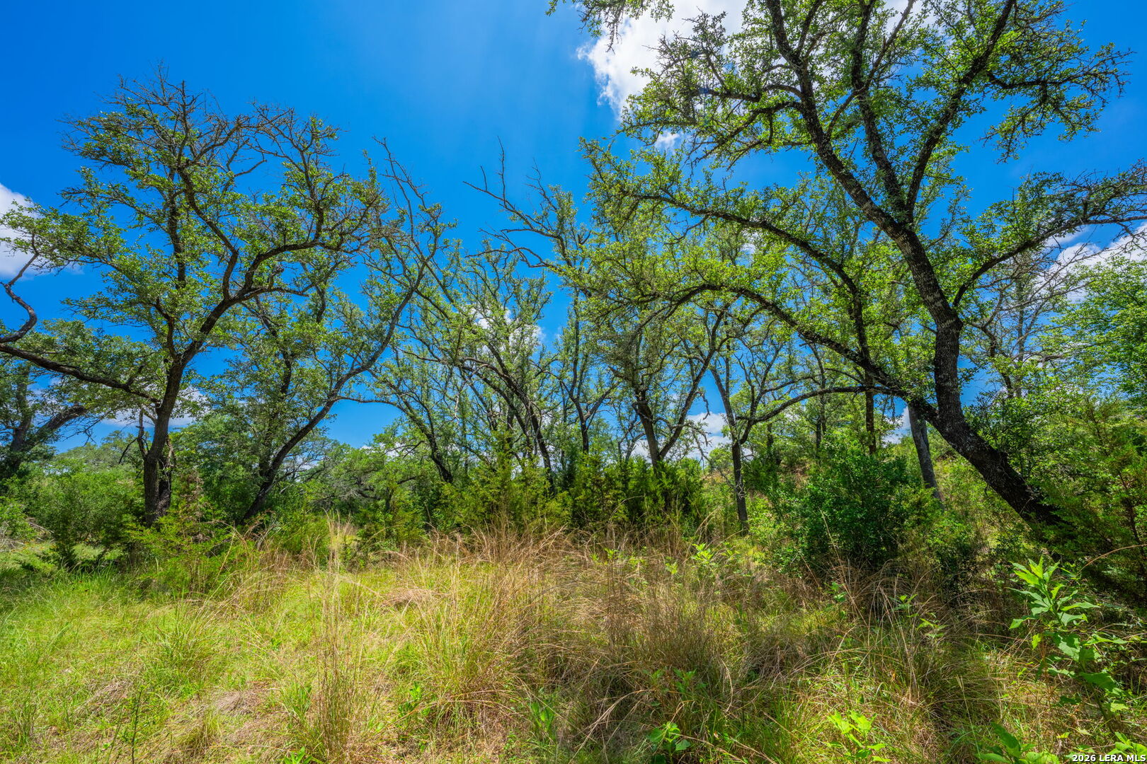 241 Old No 9 Highway Comfort TX 78013