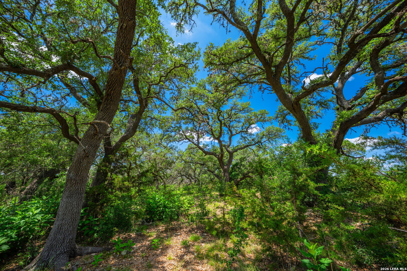 241 Old No 9 Highway Comfort TX 78013