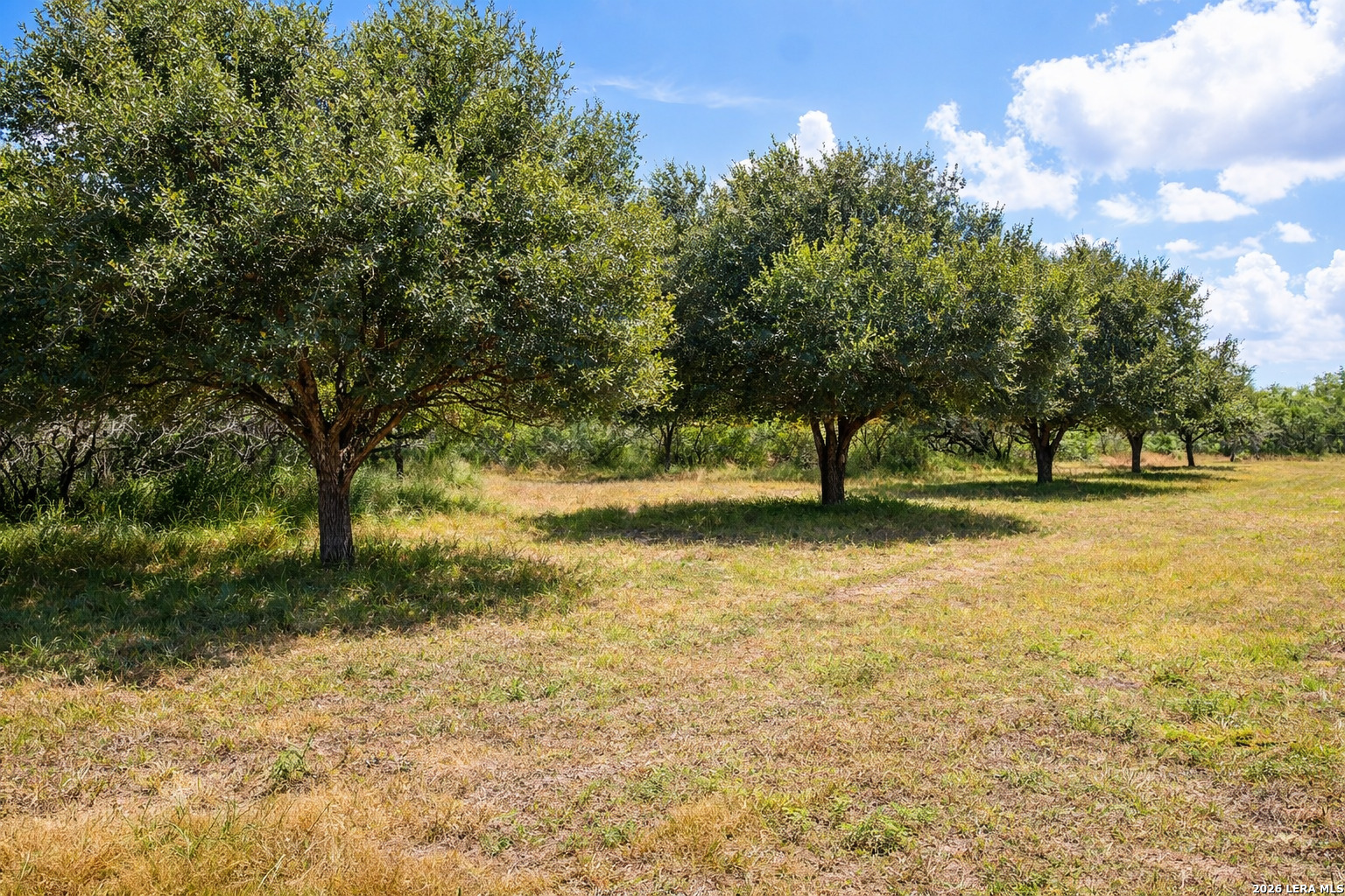 Tbd Zinnia Road Lyford TX 78580