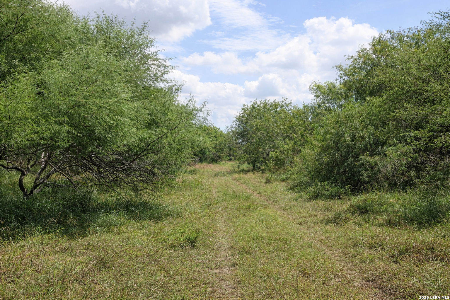 Tbd Zinnia Road Lyford TX 78580