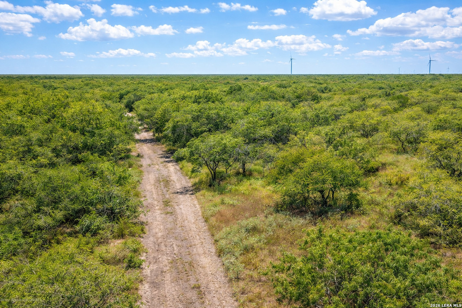 Tbd Zinnia Road Lyford TX 78580