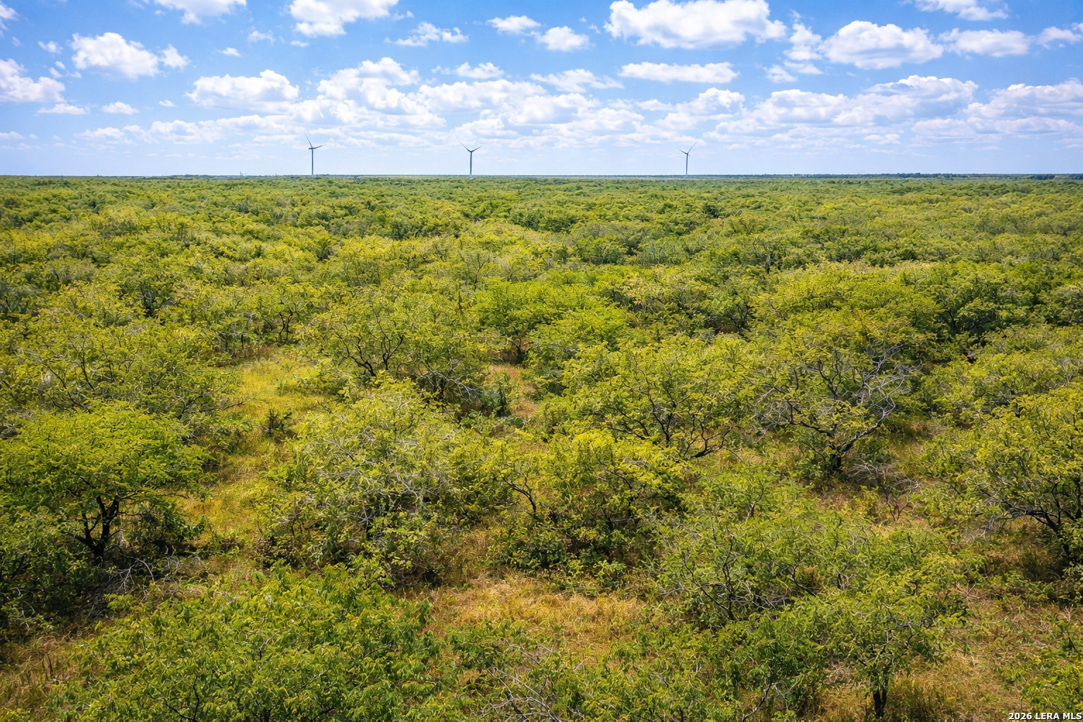 Tbd Zinnia Road Lyford TX 78580